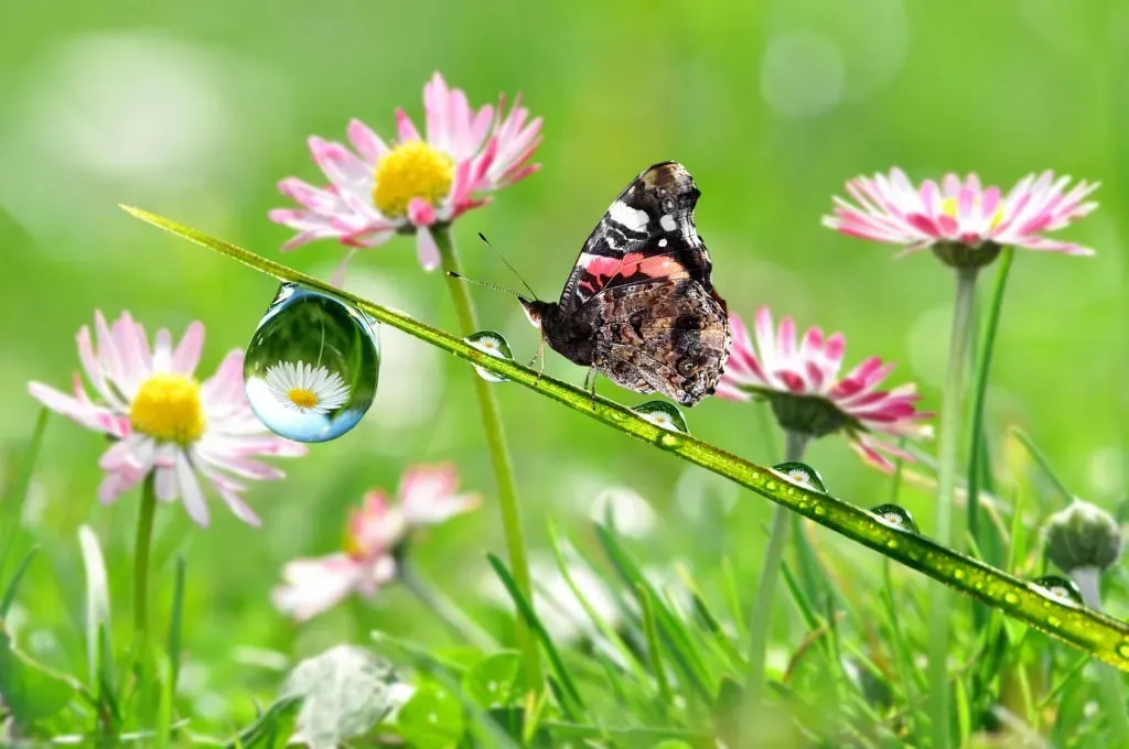 Yoga semaine 15